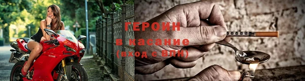 прущие грибы Балабаново