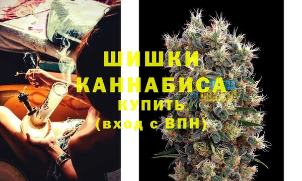 прущие грибы Балабаново