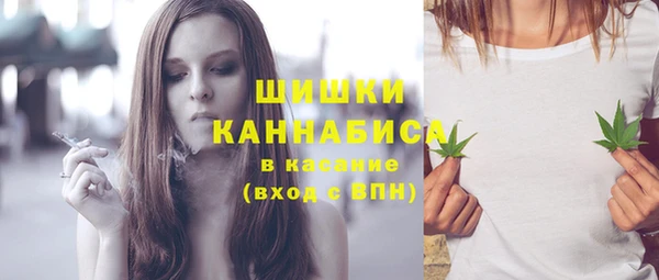 прущие грибы Балабаново