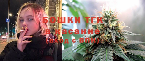 прущие грибы Балабаново
