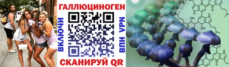 Псилоцибиновые грибы Psilocybine cubensis Биробиджан